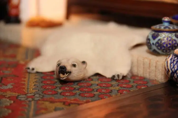 Miniature polar bear skin rug beside a blue and white porcelain jar